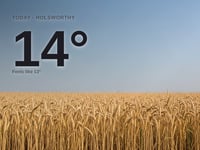 Holsworthy: sunny day, high of 14°C