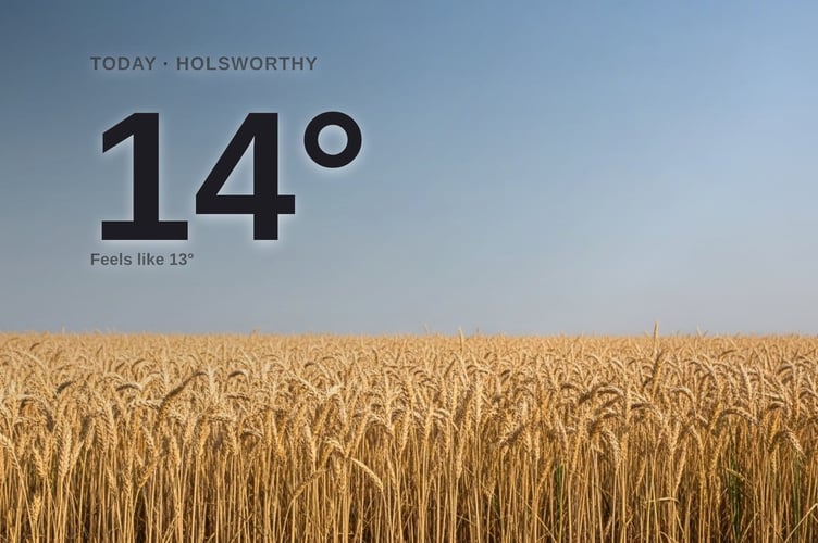 Holsworthy weather: sunny Saturday with little chance of rain and a high of 14°C