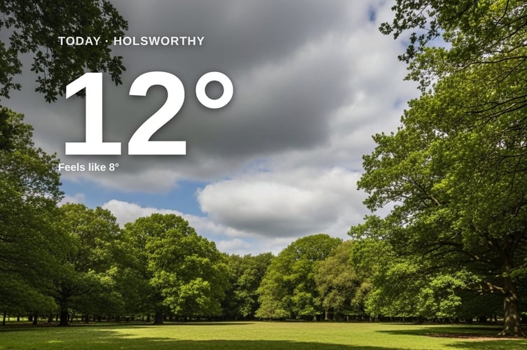 Holsworthy weather: cloudy Sunday with rain expected and a high of around 12°C